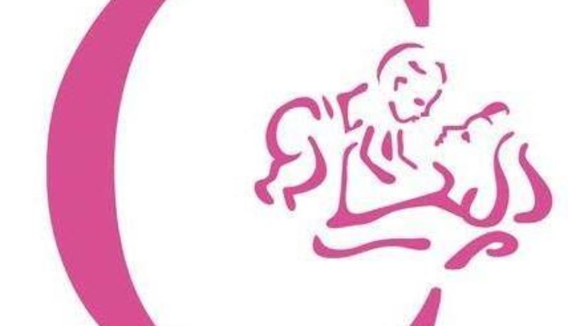 Pink-logo