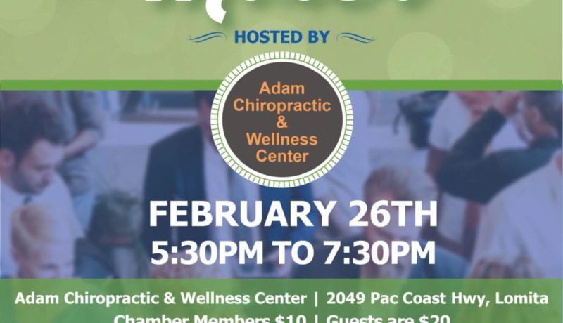 chamber-mixer-IG-february2020