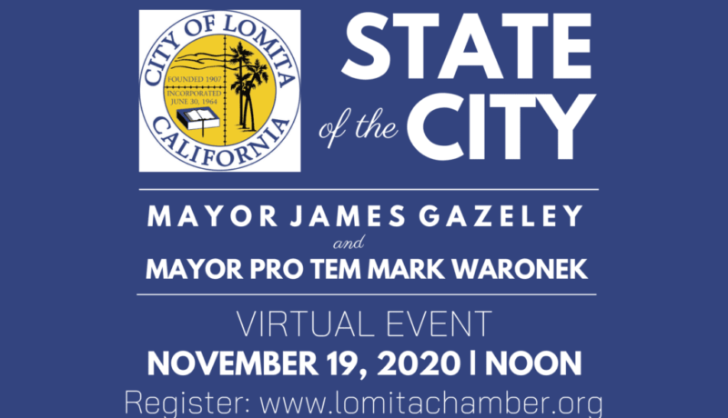 State of the City 2020 IG