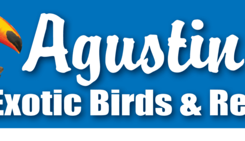 agustins exotic birds and reptiles
